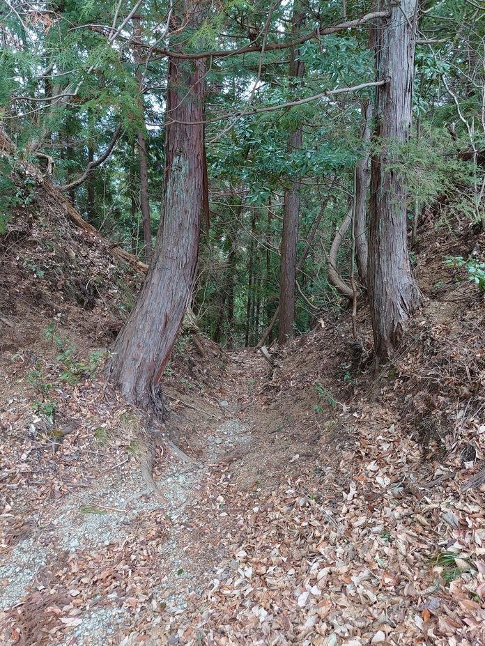 岩殿山城