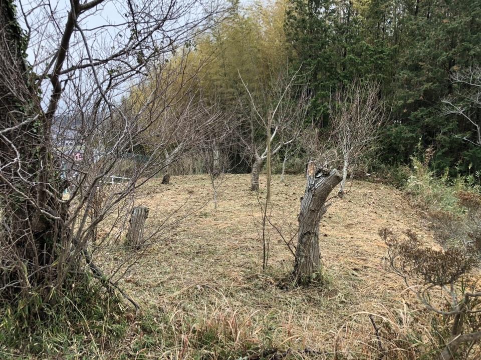寺台城