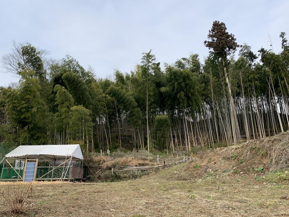 戸吹城