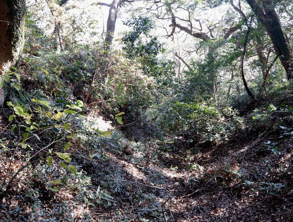 高麗山城
