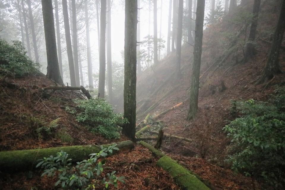 鷹取城