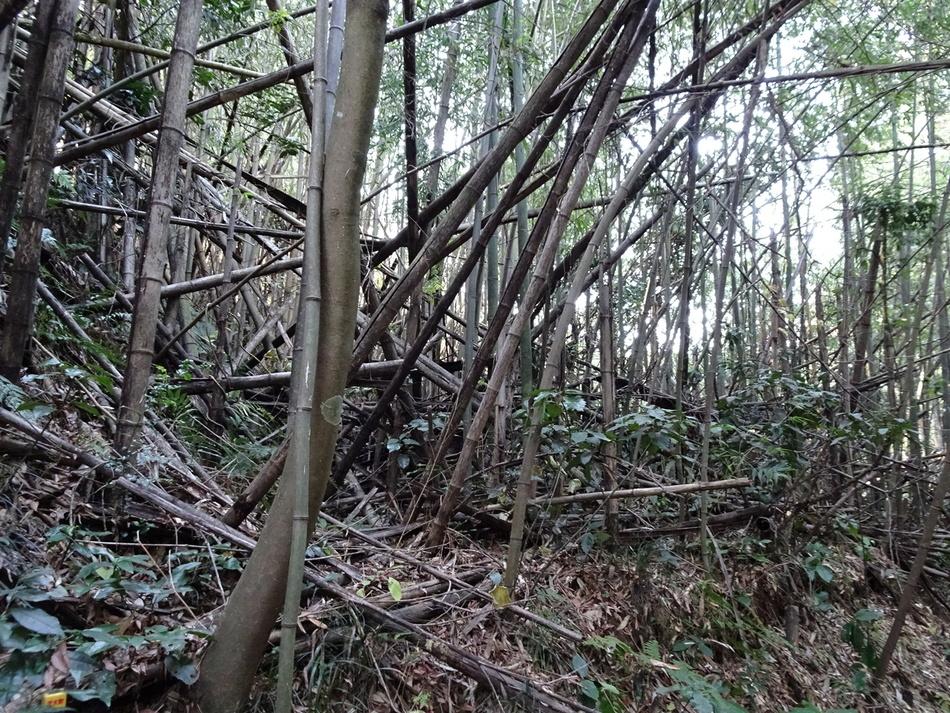 千本城