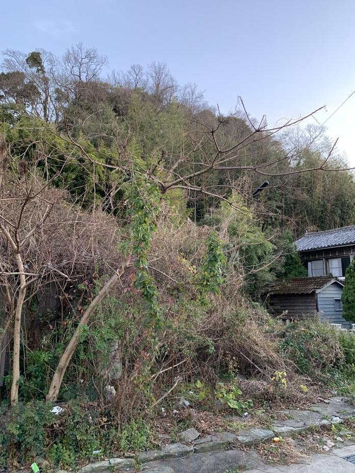 津田城