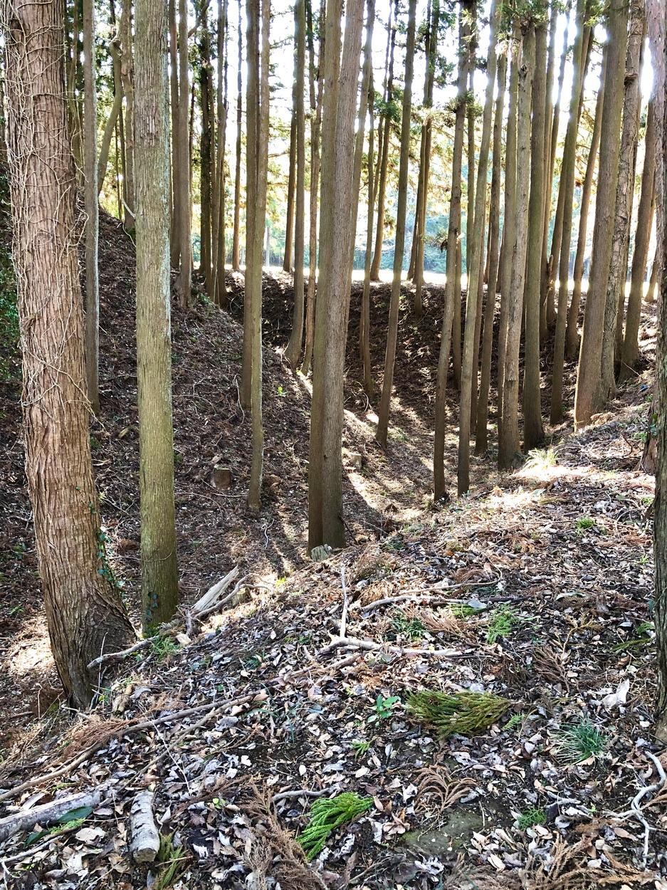 石神城