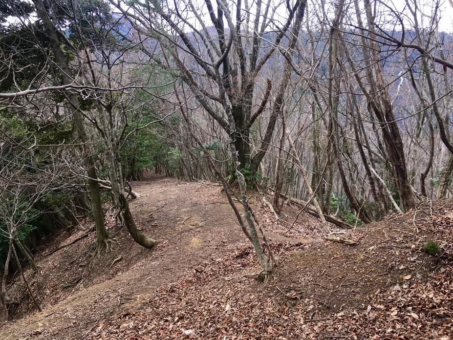 大倉見城
