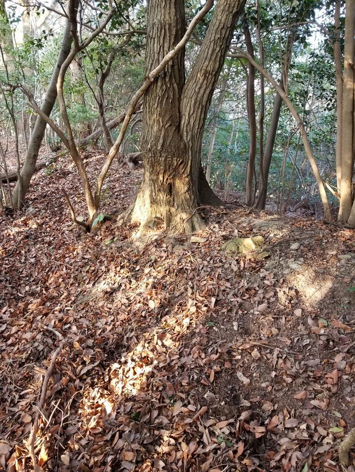 本篠城