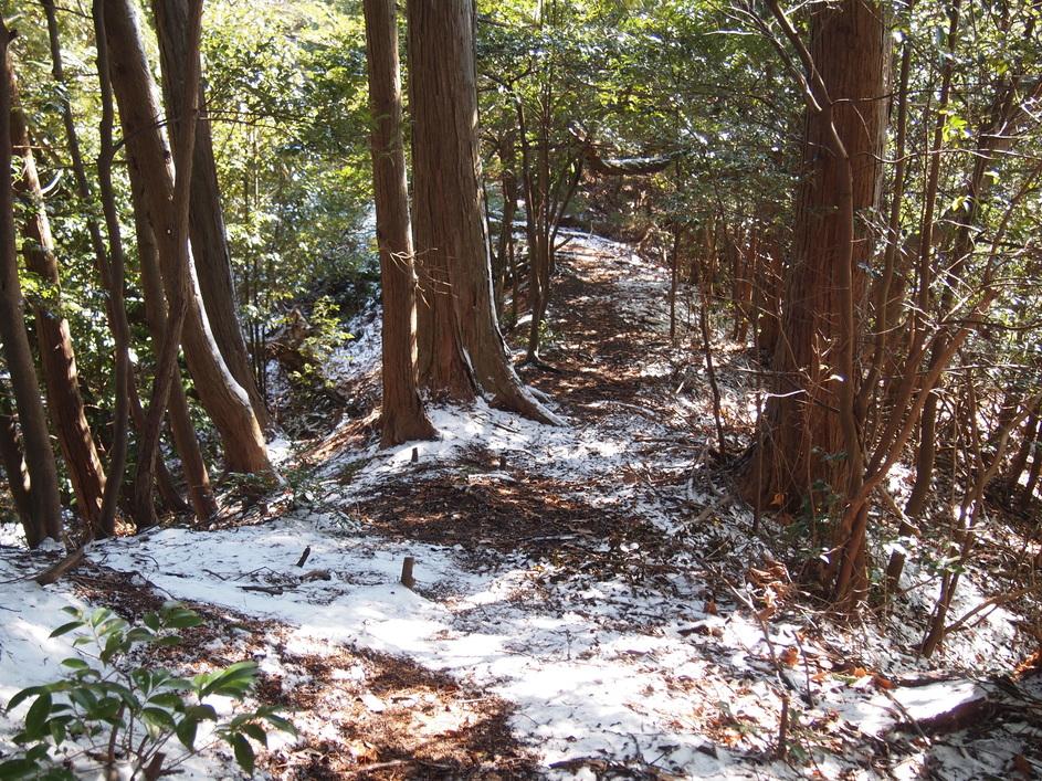 勝楽寺城