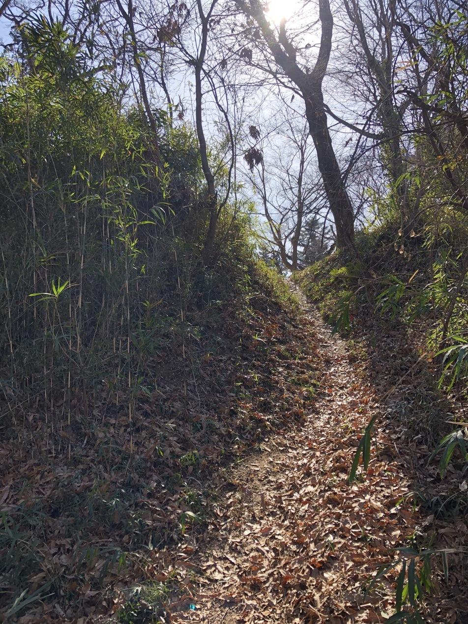 武蔵松山城