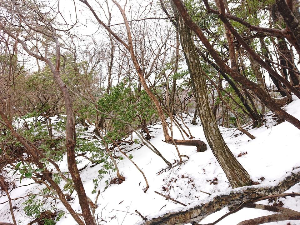 谷小屋城