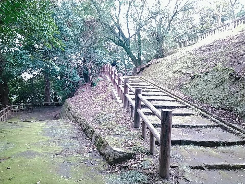 東福寺城