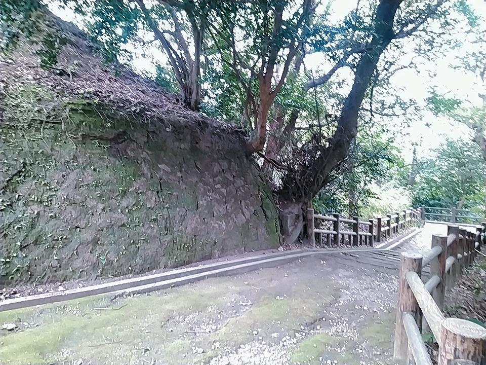東福寺城