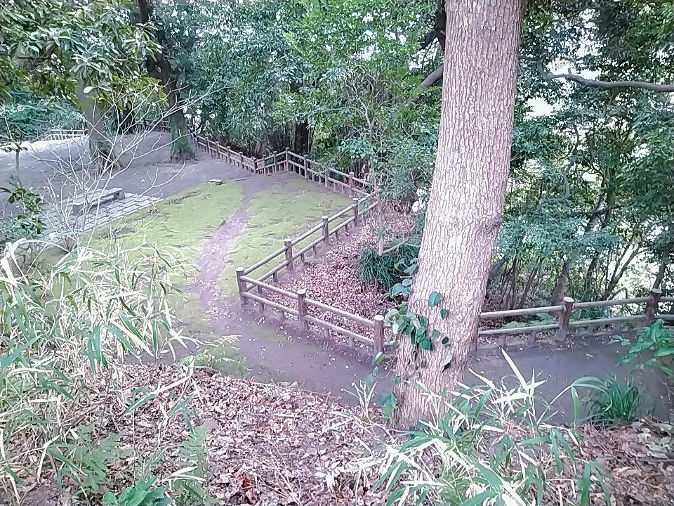 東福寺城