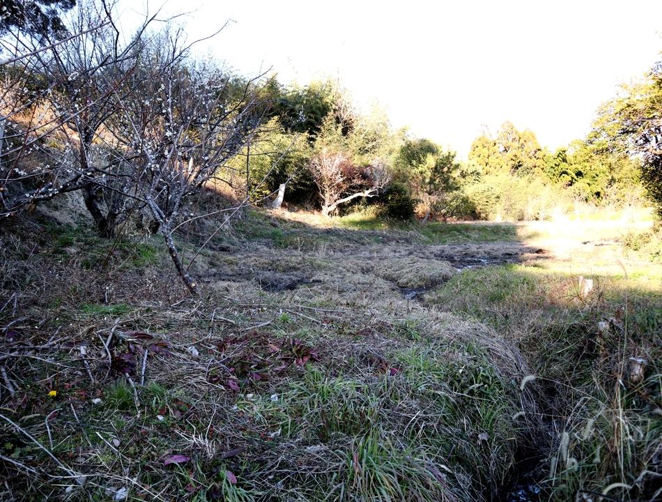 飯田城