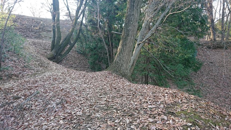 小田野城
