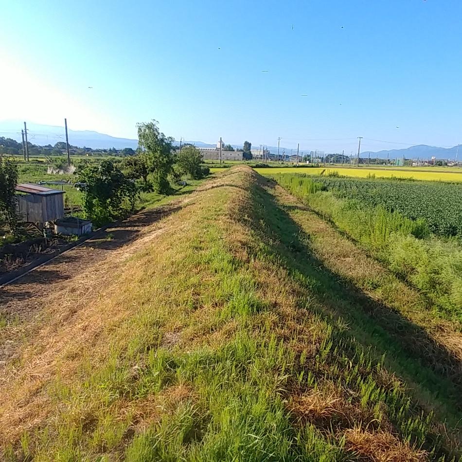 平形館