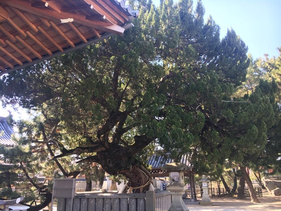 高砂城