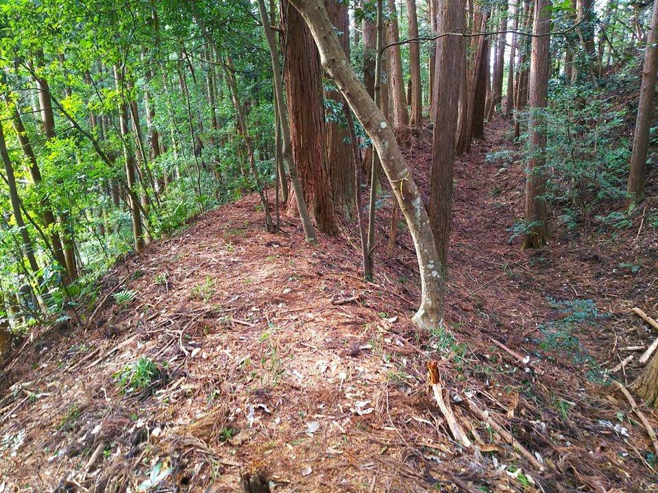 加園城