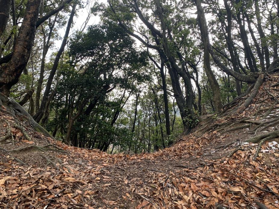 小谷城