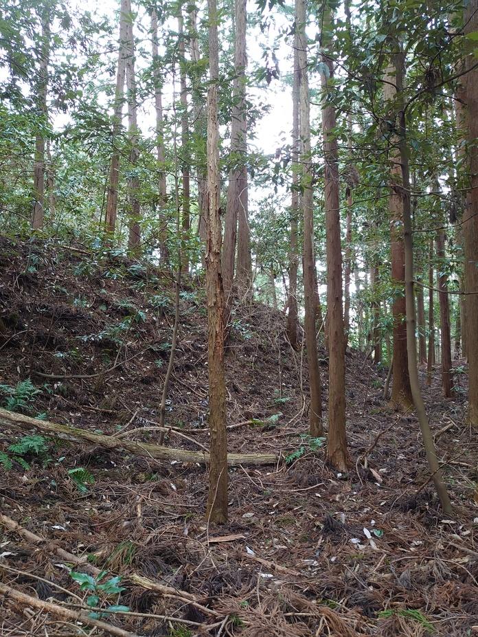 加園城