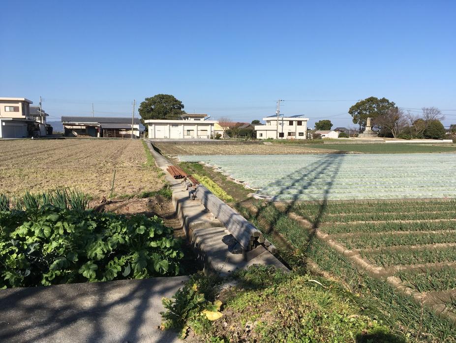 養宜館