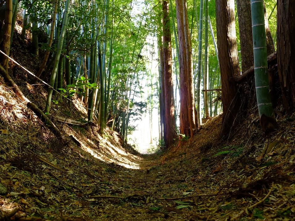 勝沼城