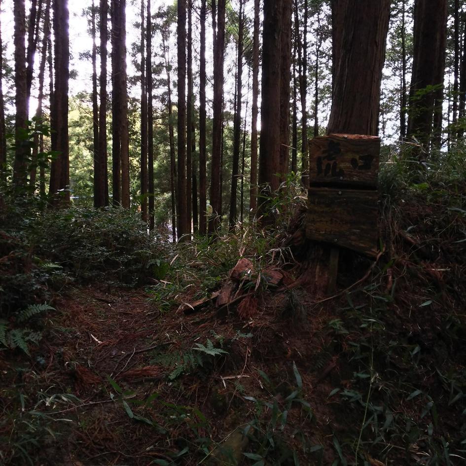 馬ヶ岳城