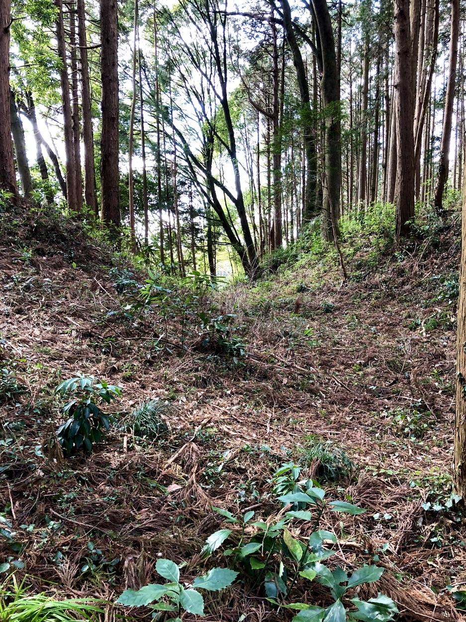 大宮城