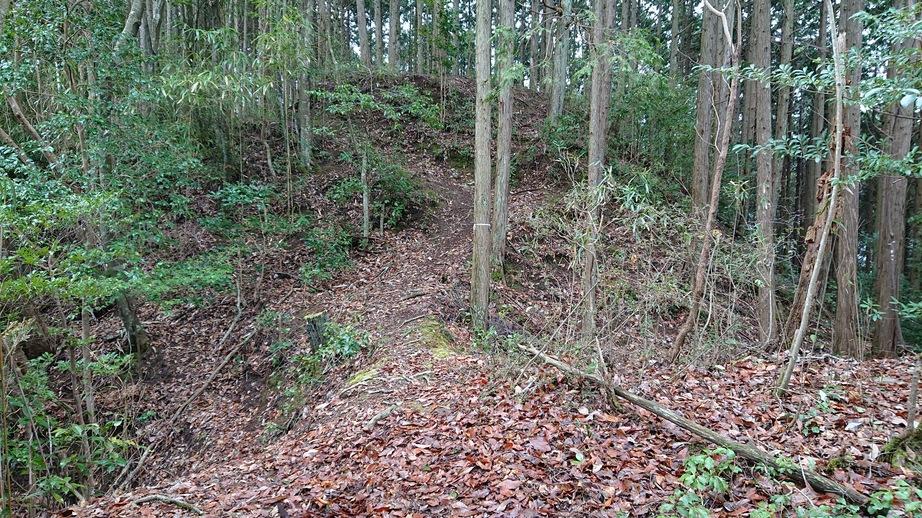 籾井城