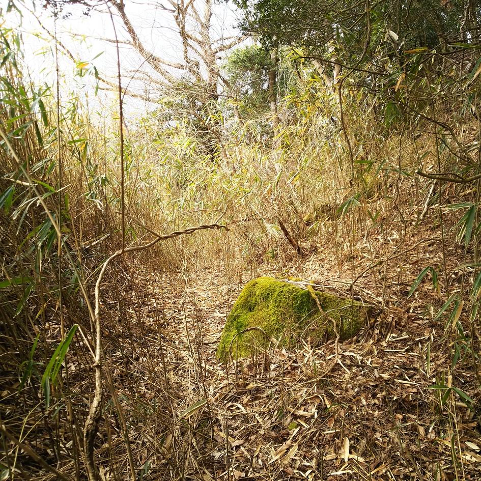 玖珠城