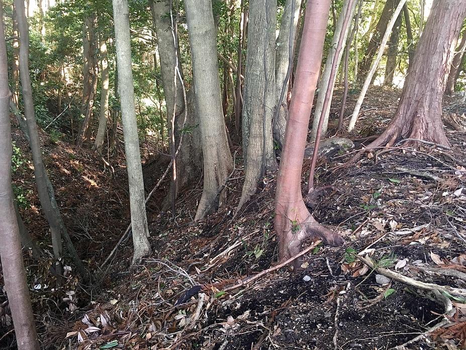 上木城