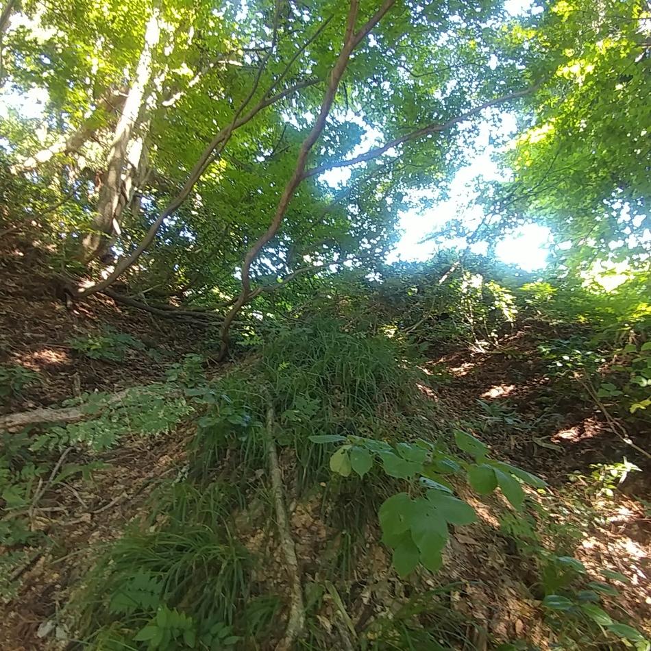 大網館