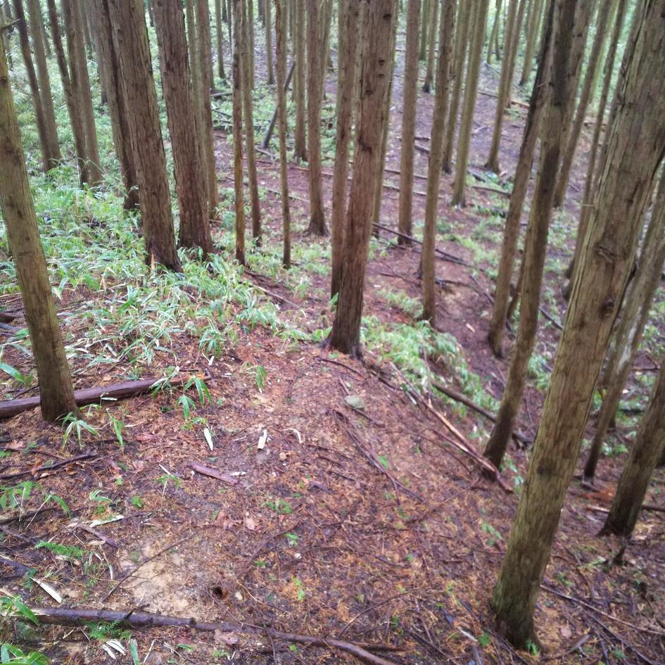 赤埴上城