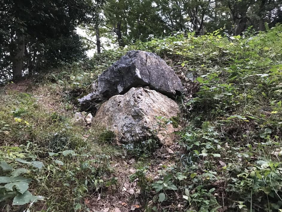 佐和山城