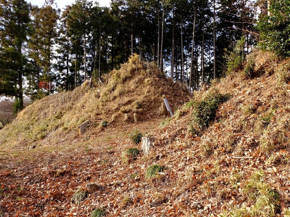 岡本城