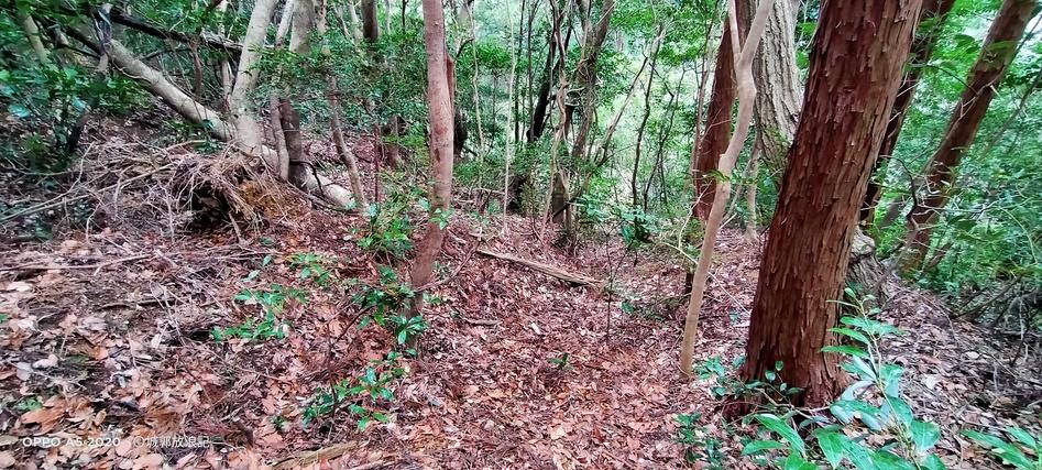 古城ヶ岳城