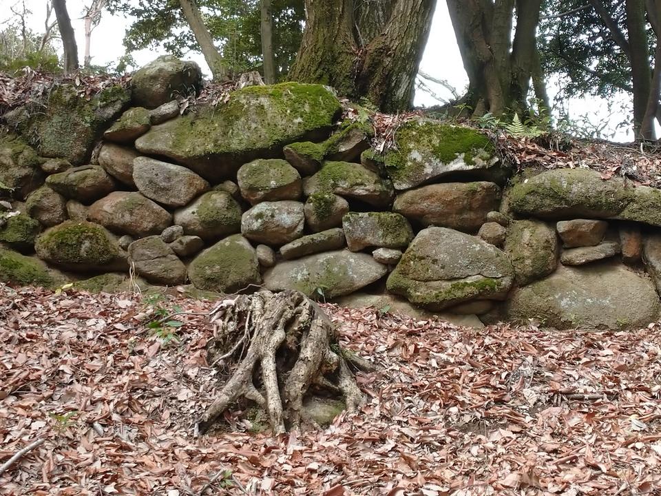 勝尾城筑紫氏城館