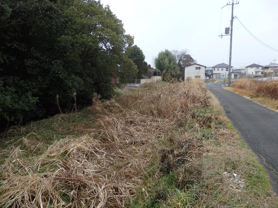 筒井城