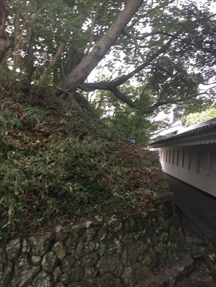 田原城