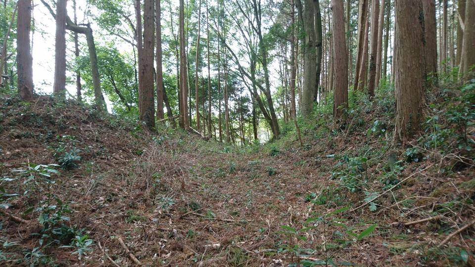 大宮城
