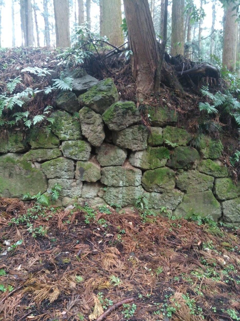 烏山城