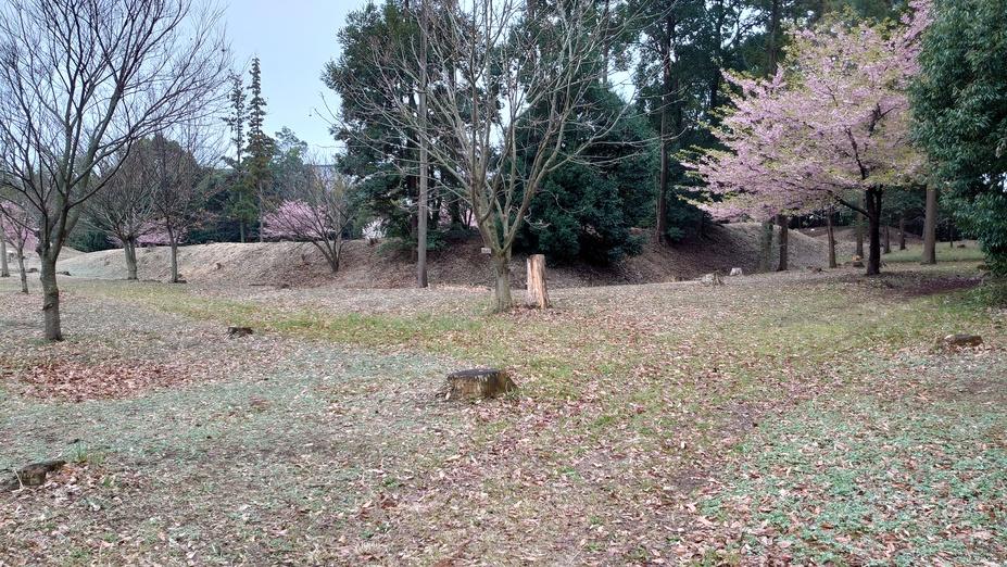 松ヶ崎城