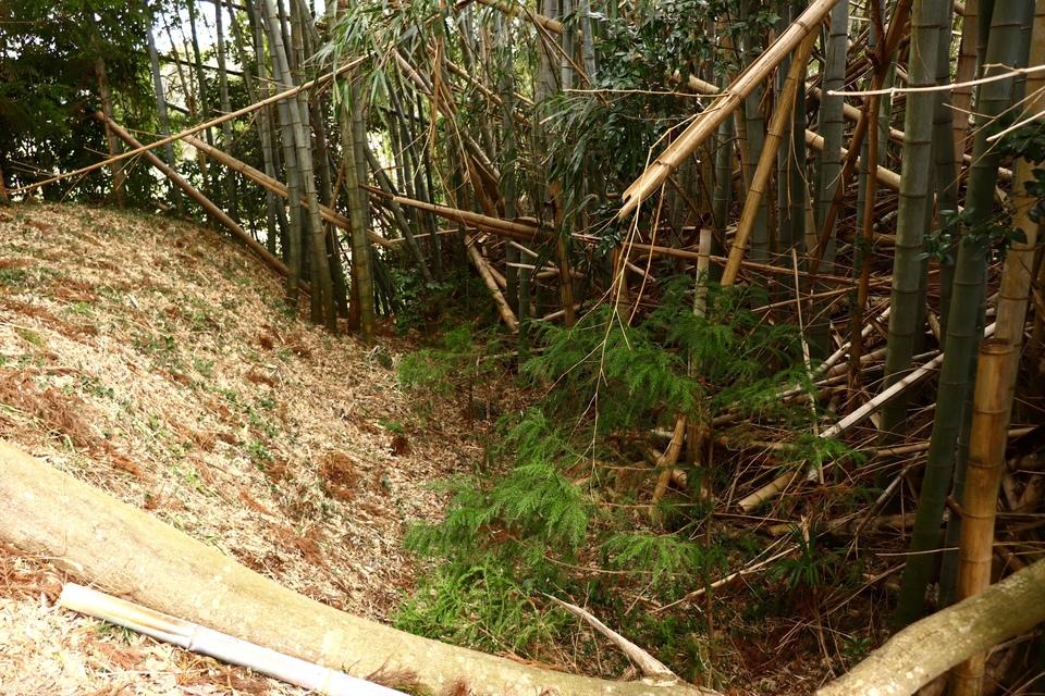 根古屋城