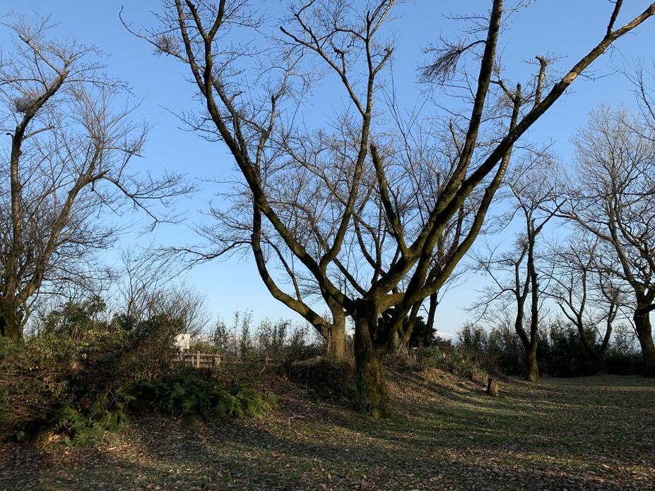 白鳥城