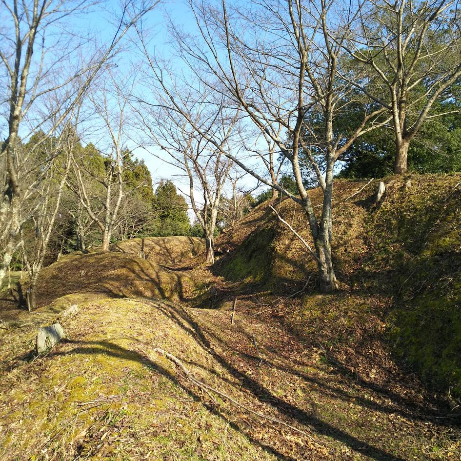 猪崎城