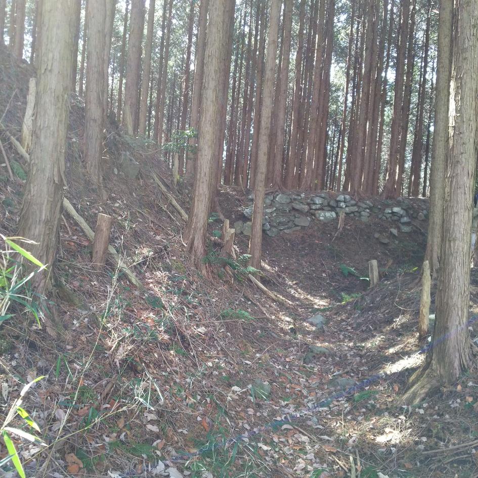 椿尾城
