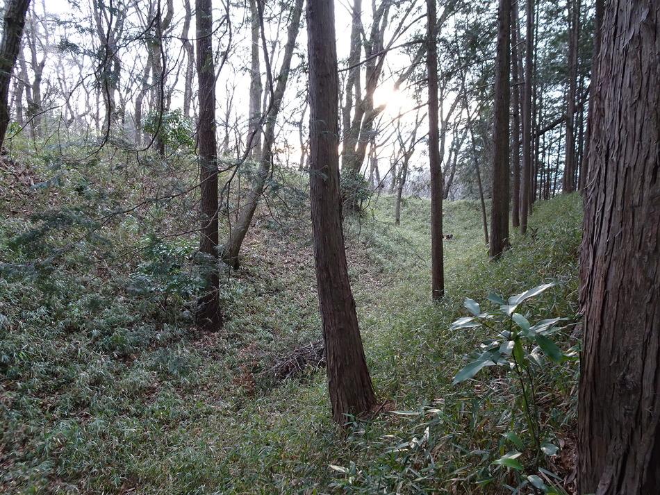 山上城