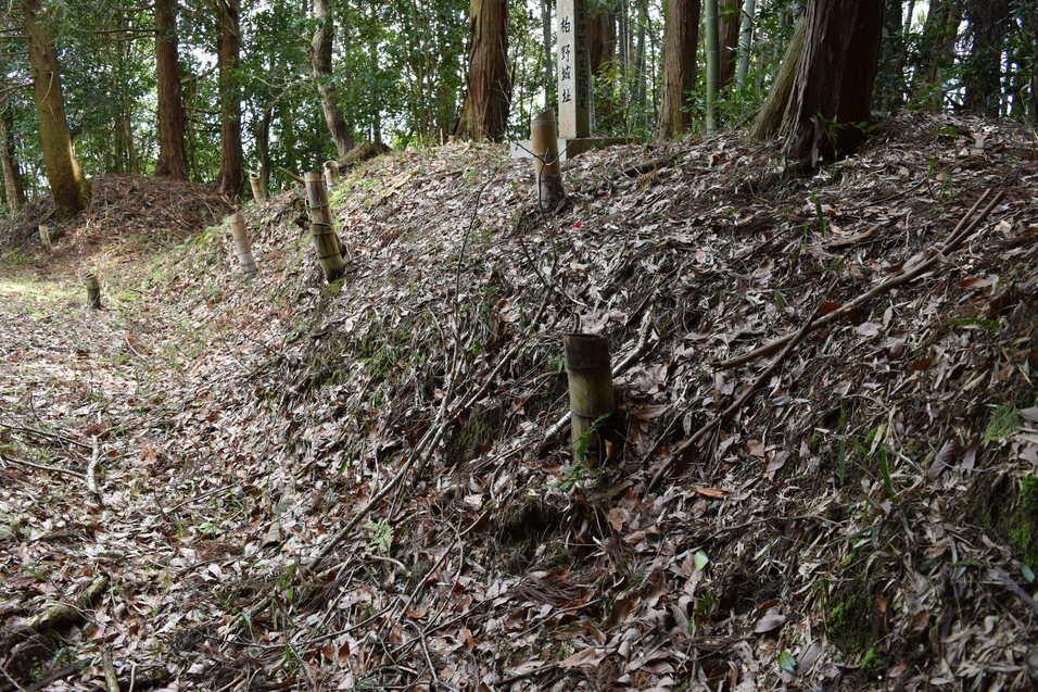 柏野城
