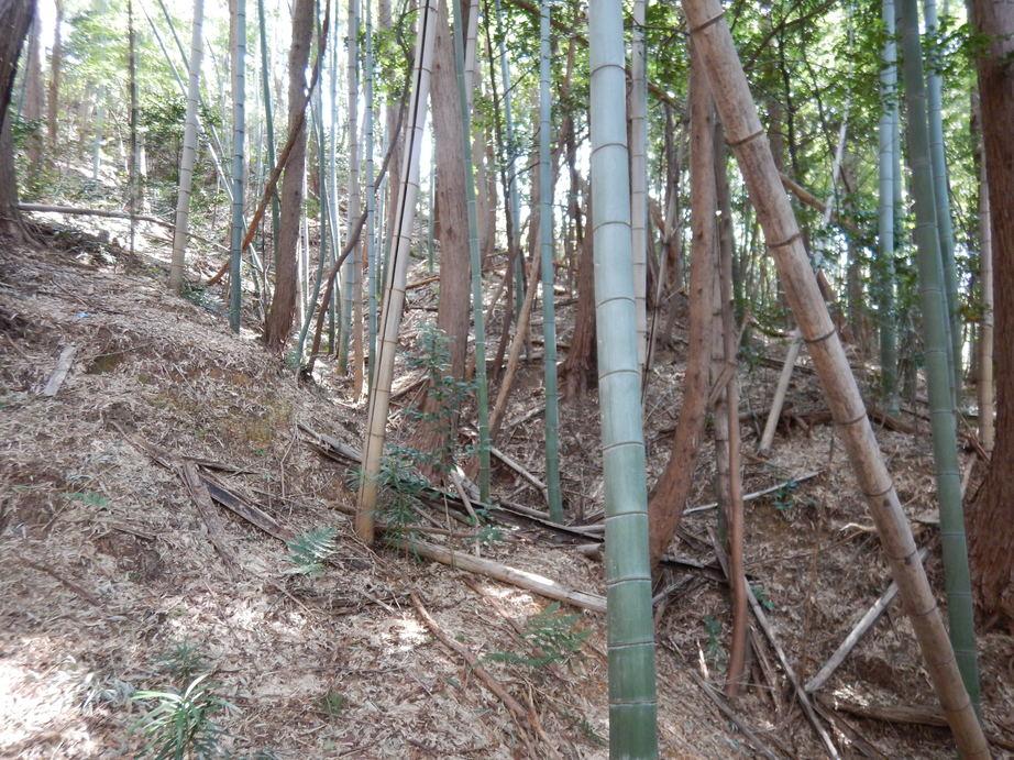 鷺山城