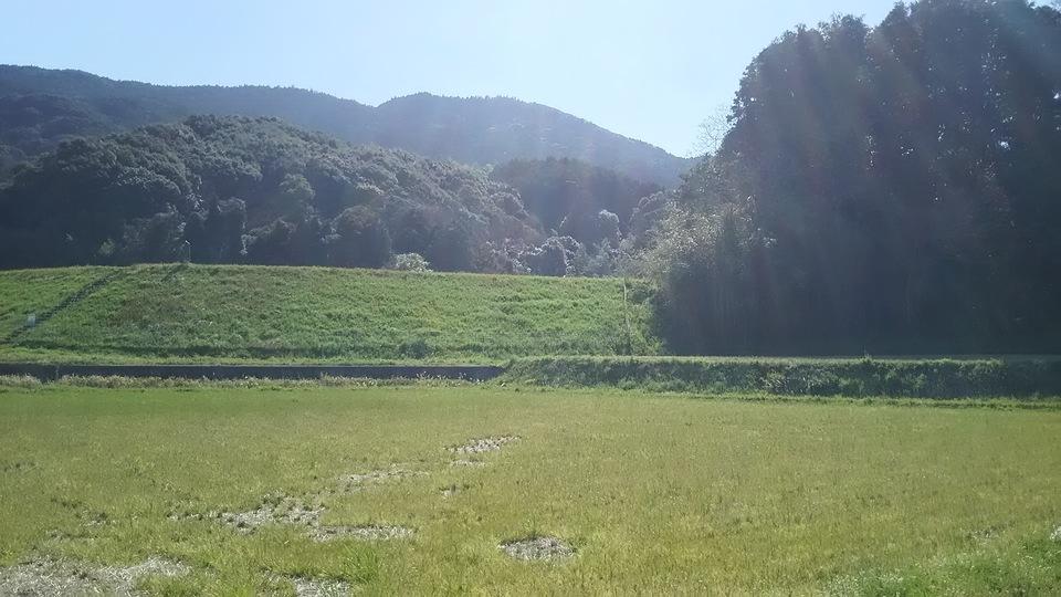 親山城