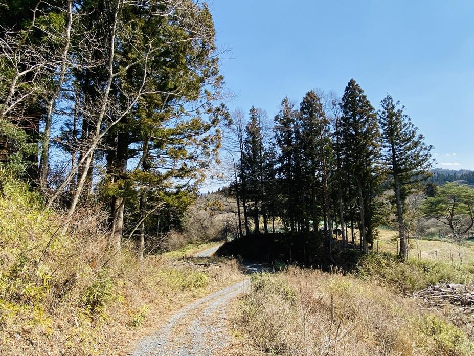 世田米城